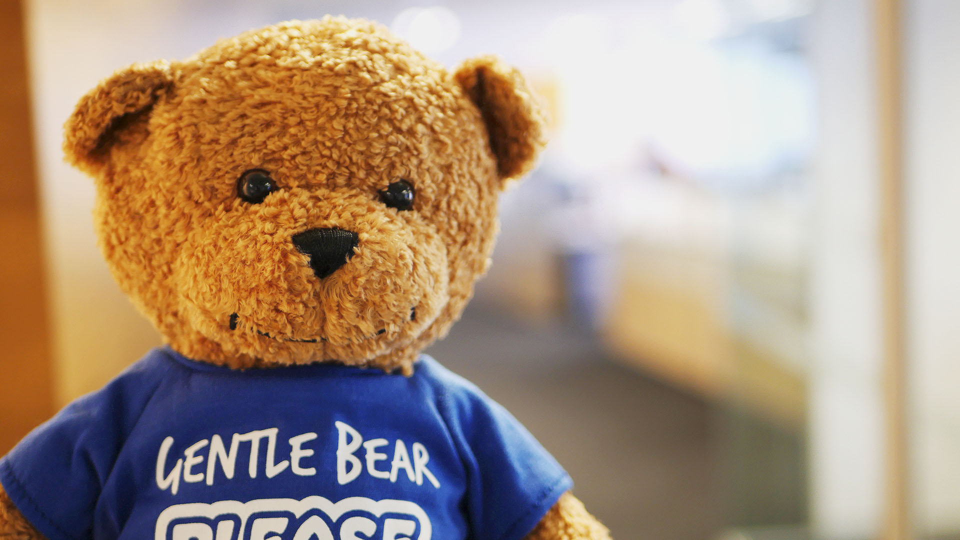GentlebearFinal-1